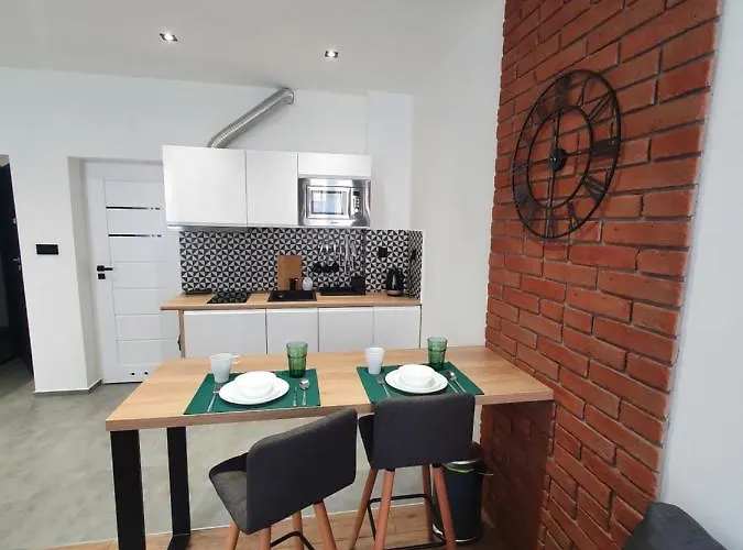 公寓 Mirror 奥斯威辛