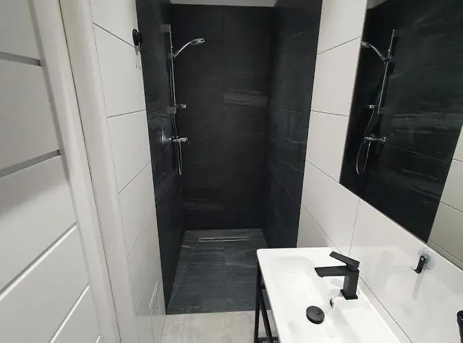 公寓 Mirror 奥斯威辛